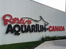 아쿠아리움 오브 캐나다 후기 썸네일